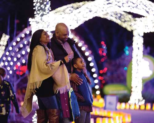 Illuminations At Botanica Wichita Best Holiday Lights