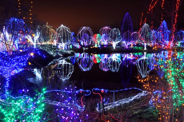 Wildlights at the Columbus Zoo
