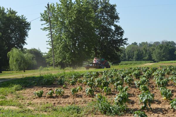 wagon at Huber's Orchard