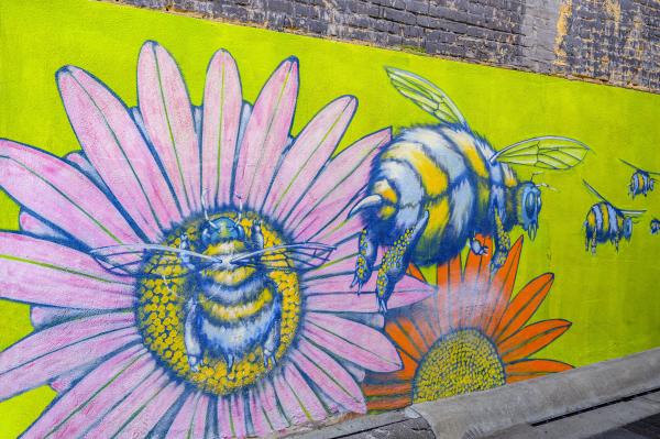 Salina Mural