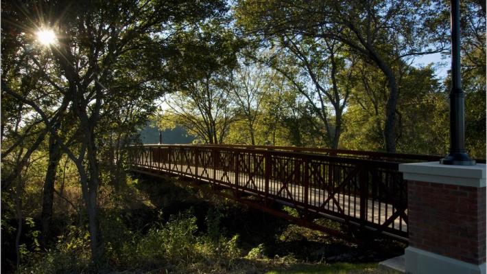 Explore The Cattle Drive Art Display In Frisco S Central Park