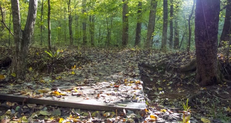 Johnston Mill Nature Preserve