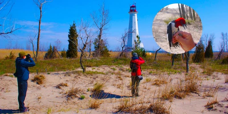 Birding at the Tip of Long Point