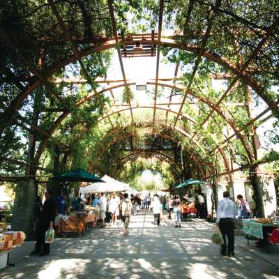 Visitfresnocounty Org Fresno Clovis Convention Visitors Bureau