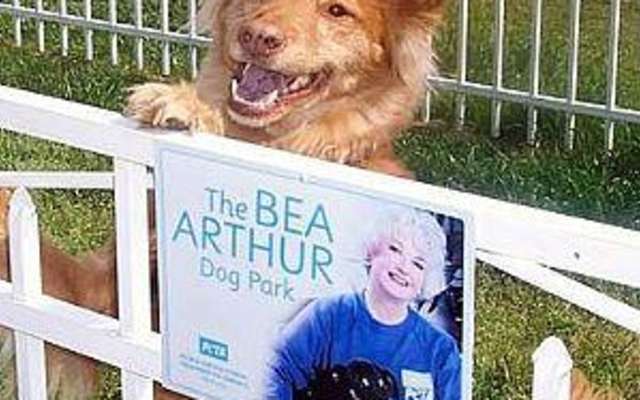 Bea Arthur Dog Park, Norfolk