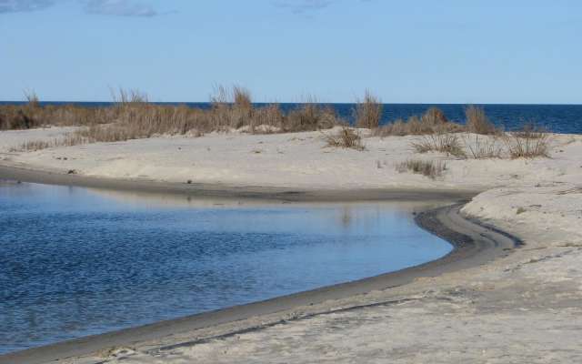 Bethel Beach Natural Area Preserve