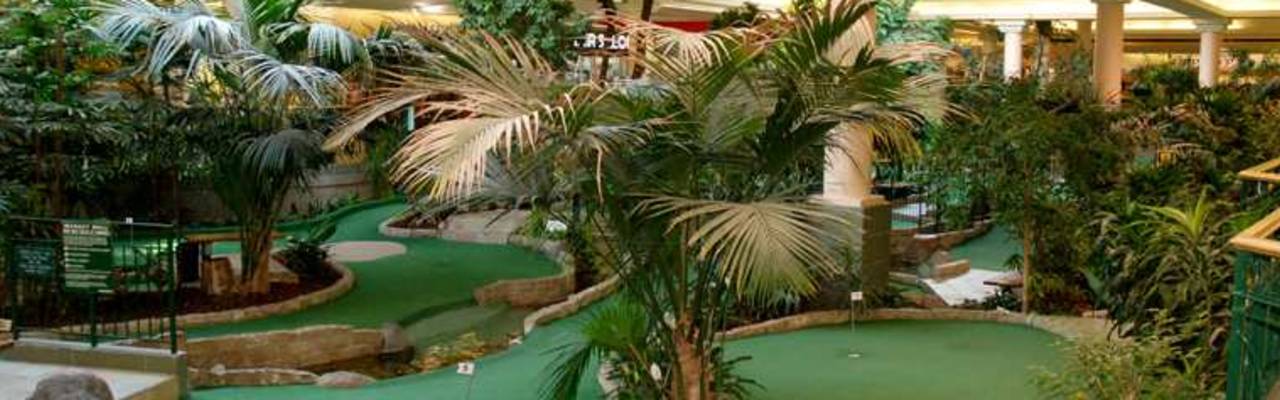 Market Mall Mini Golf