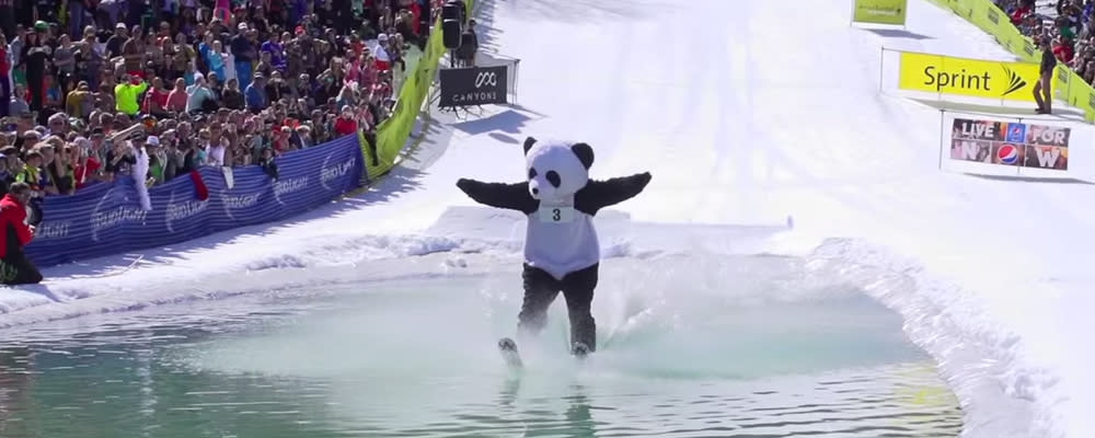 Gruv Pond Skim in panda bear costume