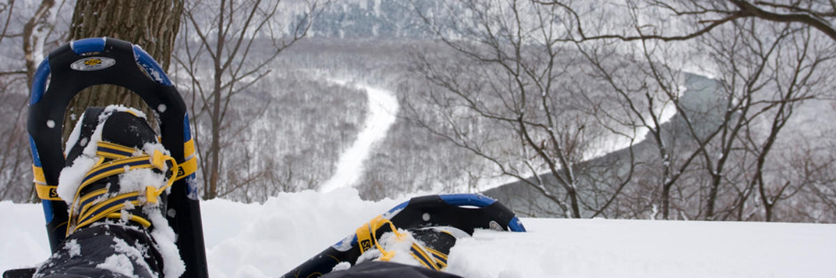Snowshoeing in the Laurel Highlands