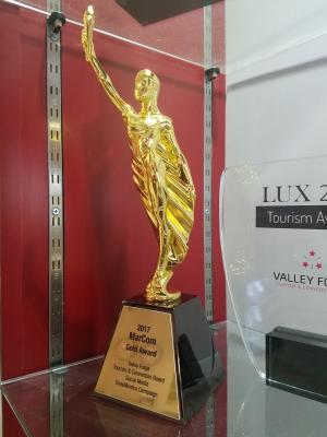 VFTCB MarComm Award