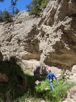 Man walks through a sandstone canyon, full of lush, green foliage.