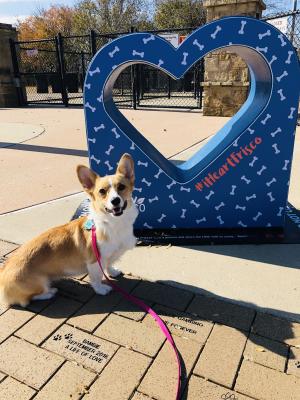 Kiki at Ruff Range Park