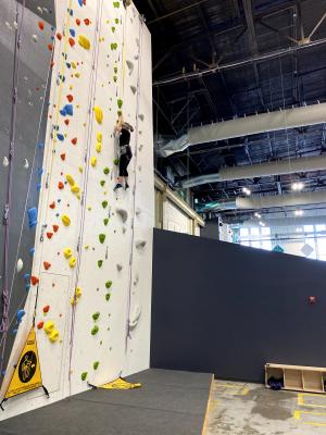 Woman Climbing a Rock Wall