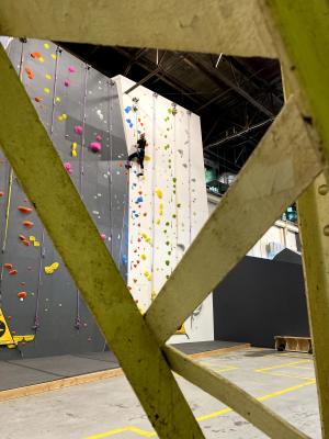 Woman Climbing a Rock Wall