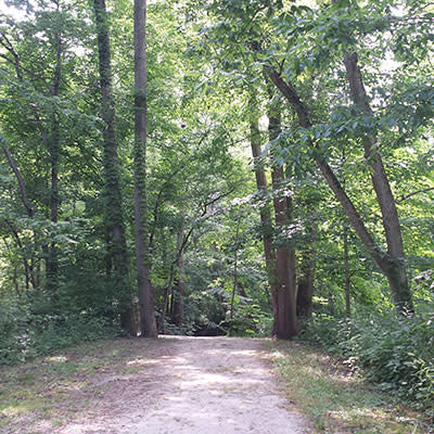 Burkhart Woods Trail