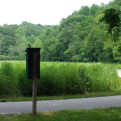 Bird on Sign