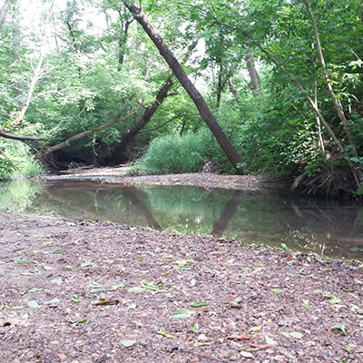 Burkhart Creek