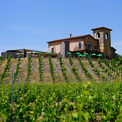 Robert Renzoni Winery and Vineyards