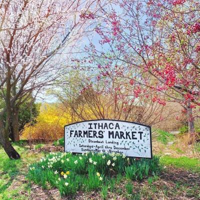 Ithaca Farmers Market
