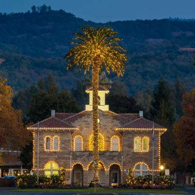 Palm tree with thousands of holidays lights in front of Sonoma City Hall in Sonoma Valley