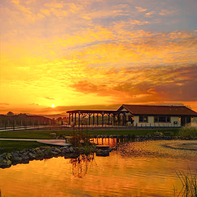 Sunsets in Temecula Valley