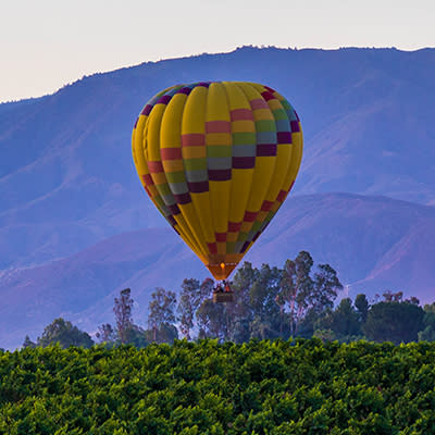 Unique Offerings in Temecula, CA