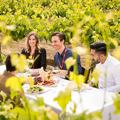 group dining among vineyards