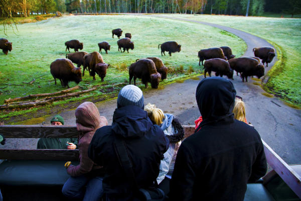 Northwest Trek Keeper Tour