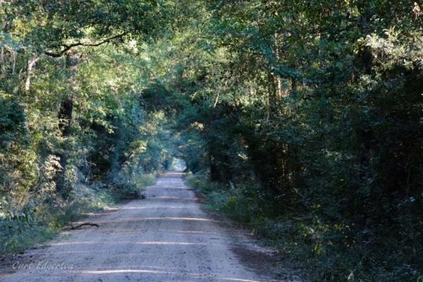 Bragg Road