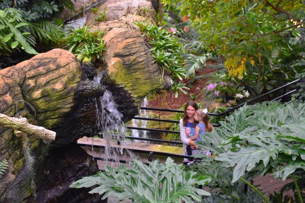 Botanical Conservatory - Tropical Garden