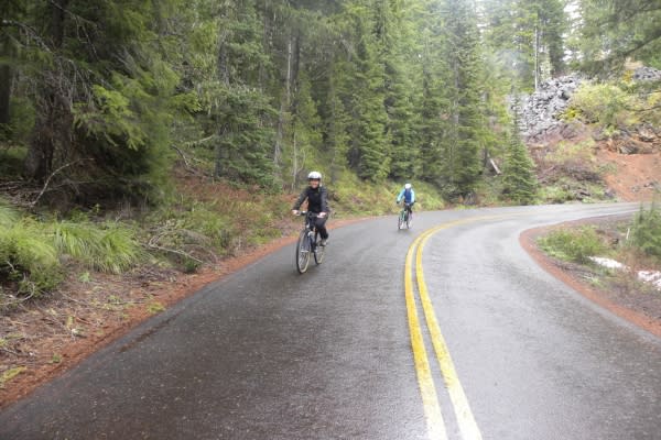 Hwy 242 McKenzie Pass Scenic Bikeway in Rain by Molly Blancett