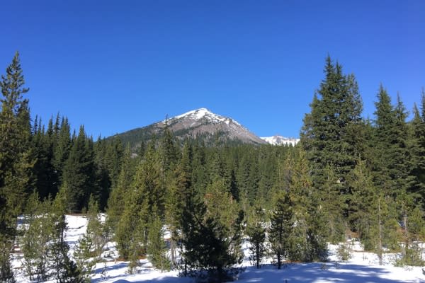 Pacific Crest Trail Eugene Cascades Oregon Coast
