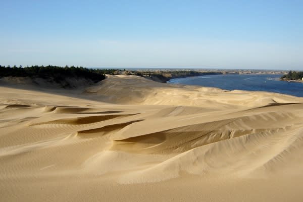 South Jetty Dunes by Dina Pavlis