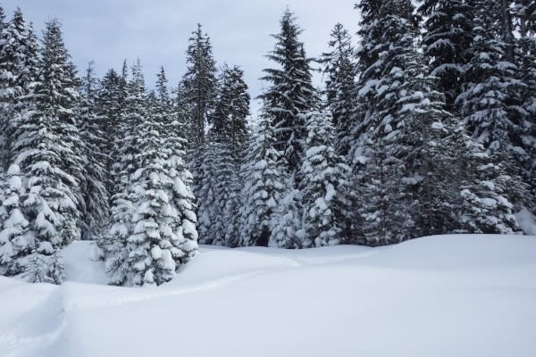 Snowshoeing landscape by Joey Jewell