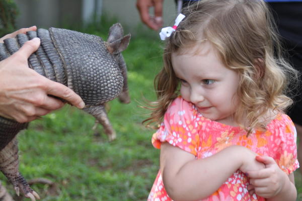 Armadillo Encounter