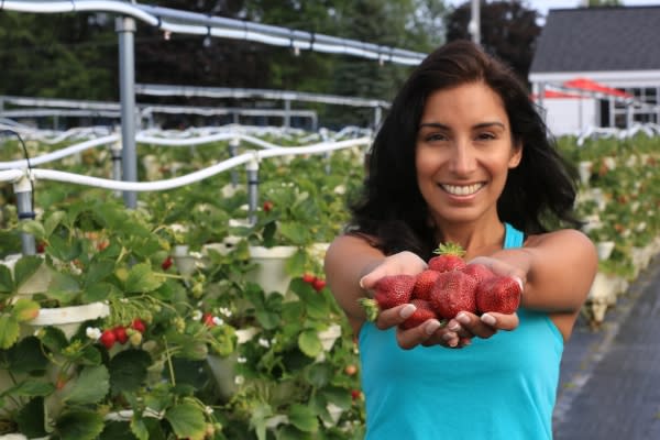Strawberry Fields Hydroponic Farm