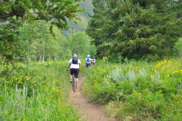 mountain biking