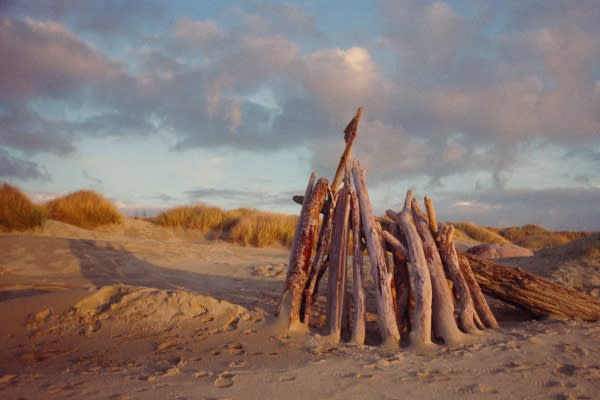 Driftwood Dream Palace on the Oregon Coast by April Dimmick