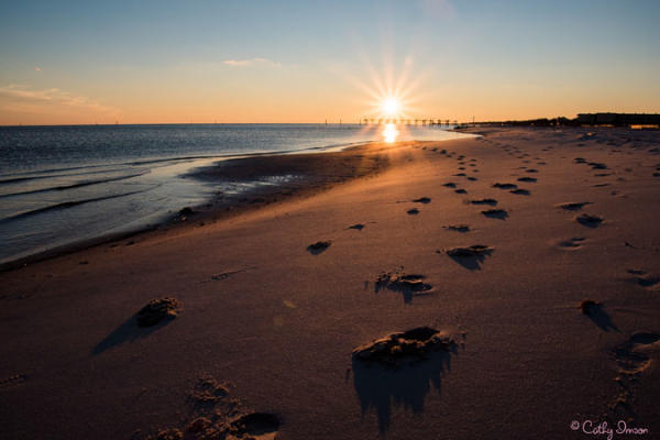 BEACH CATHY IMSON