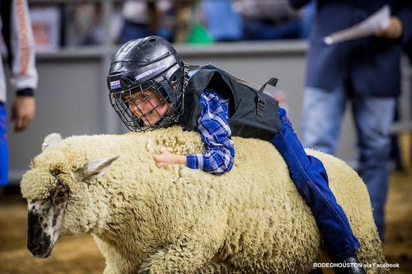 mutton bustin'