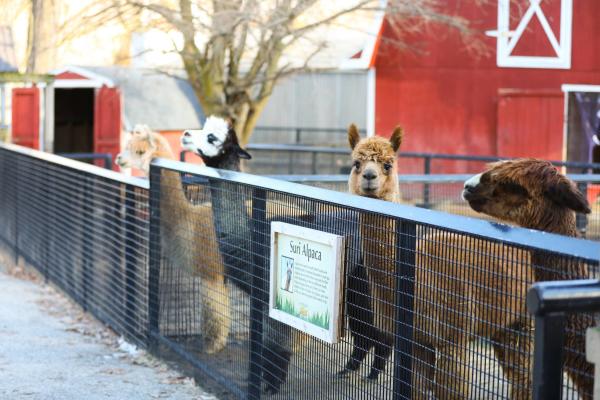 Potter Park Zoo