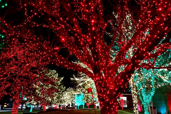 Holiday Lights in Utah Valley - Orem