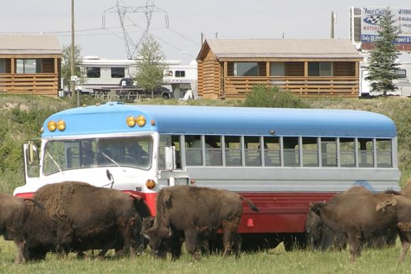 Terry Bison Ranch Cabins Bunkhouse