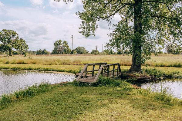 Bridge Over Creek