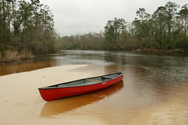 Empty Boat On Shore In The Village Creek Paddling Trail Near Beaumont, TX