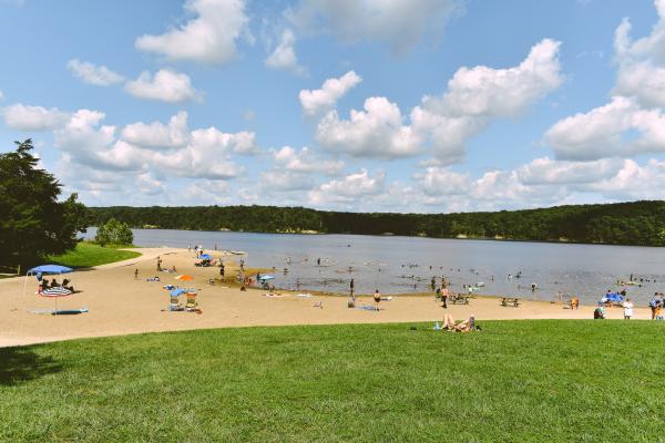 Groups Of People On Deam Lake Beach