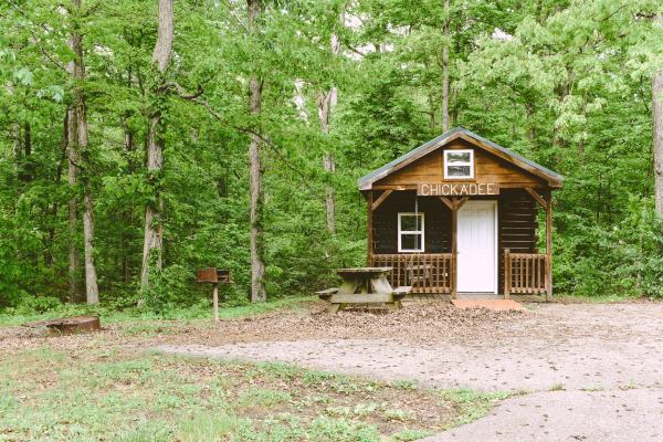 Deam Lake Cabin In Front Of Woods