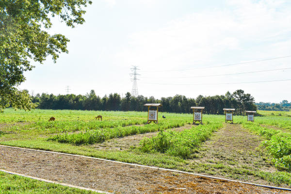 Sporting Club at the Farm