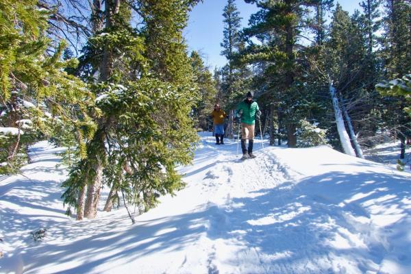 Best Places To Snowshoe Near Denver Visit Denver Blog