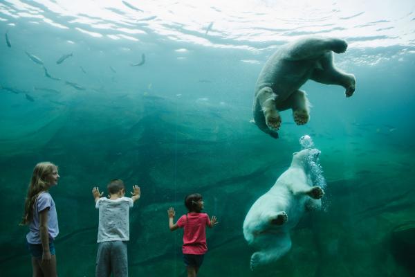 Polar Frontier - Columbus Zoo
